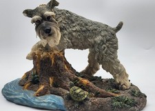 Gray Schnauzer Dog By A Pond And Stump With A Cute Turtle Very 9
