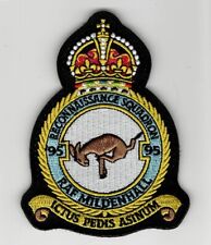 USAF  95th RECON SQ, RAF STYLE, King's Crown, RAF Mildenhall, United Kingdom picture
