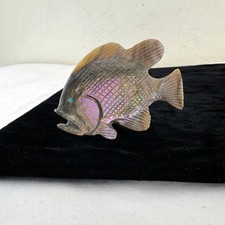 Large Vintage Zuni Bass Fish Fetish by Lloyd Tsalabutie picture
