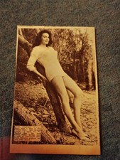 Sk236 Ephemera 1967 Picture actress Elaine Devry picture