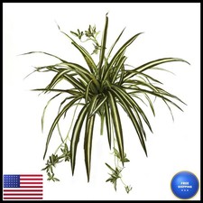 Nearly Natural 23in Spider Plant Bush Set of 4 picture
