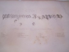 ANTIQUE ENGRAVING - PHILIPE DE FRANCE DUC D'ANYOU  - DOCS picture