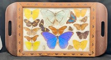 LOVELY BUTTERFLY WINGS MORPHO SERVING TRAY 16.5