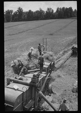 Photo:Brookeville Maryland 1937 Threshing Oats Farm Workers Harvesting picture