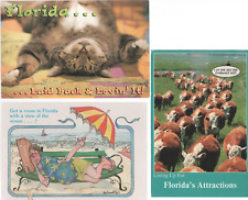 Postcards Florida Humor Cows, Cat, Room with a View of Ocean c1980 - 90s picture
