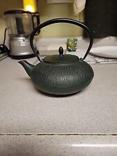 Japanese Vintage Jade Green Nanbu Tekki Cast Iron Teapot  W/ Tea Infususer. picture