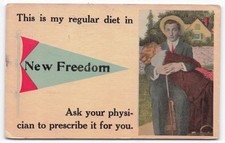 VTG 1915 New Freedom PA Pennant Postcard - Man Woman Embrace - 