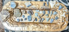 42pc Florida & Moroccan Fossil & Mineral Lot - Megalodon, Native Artifact, Coral picture