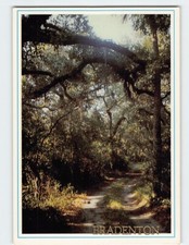 Postcard Peaceful Florida Trail, Bradenton, Florida picture