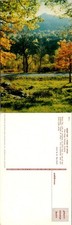 Sharp Top-Peaks Of Otter, Blue Ridge Parkway, VA Postcards unused 52812 picture