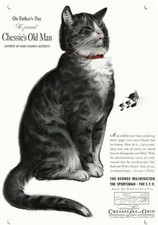 1937 CHESAPEAKE & OHIO RAILROAD Chessie Cat Peake DECORATIVE REPLICA METAL SIGN picture