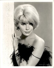 LD391 Original Photo ELKE SOMMER GLAMOUR SHOT 1965 
