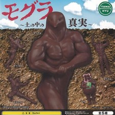 TAMA-KYU Mole The truth in the soil Mascot Capsule Toy 5 Types Comp Set Gacha picture