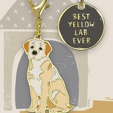 Yellow Lab Dog Charm Set for pet owner and labrador. Keychain Enamel.  Gift NWT picture