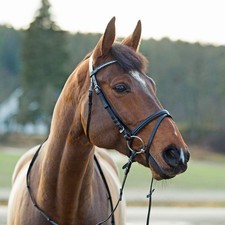 HORZE Weston Leather Horse Bridle Flash Noseband Web Reins Brown Pony picture