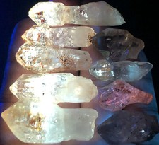 61g 9PCS SCEPTERS Super Skeletal FENSTER Golden Enhydros Quartz with oil  j590 picture