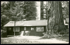 RPPC 1930-50 Hartsook Inn Redwood Highway California Vintage Postcard A1465 picture
