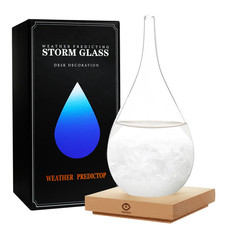 Storm Glass Weather Predictor,Christmas Snow Globe Storm Glass Barometer Weather picture