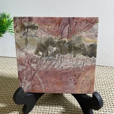 260g Beautiful Chinese Dendritic Limestone Picture Stone Guohua - Rare picture