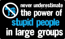 TRUMP 2020 STICKER STUPID PEOPLE ANTI DEMOCRAT MAGA DEPLORABLE FLAG DECAL BUMPER picture
