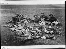 Dakota Territory 1890 Hunters Game Bird Hunting Dogs Rifles Prairie Exhibit picture