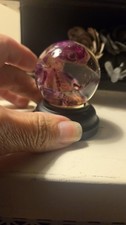 Diaphonized Fetal Opossum In A Globe. picture