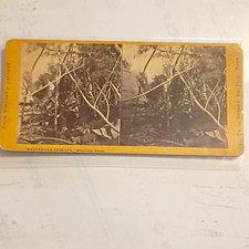 Whitney Gallery Winnebago Indians picture