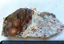 Stunning Galaxy Jasper 
