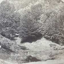 Humphrey's Ledge Stereoview Geo S Bryant & Co Boston 1870s White Mountains picture