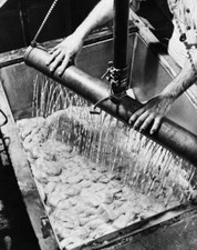 The raw silk is subjected a bath, gummy liquid with which it is im- Old Photo picture