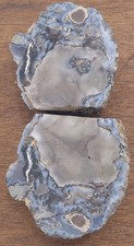 Condor Agate 3 Lb Bookend Nodule Specimen Bisected 2 Matching Sides Stands Blue picture