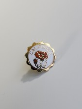 California Poppy Travel Souvenir Lapel Pin State Flower Eschscholzia Californica picture