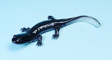 Kaiyodo Animatales Animal in Japan Choco Egg Odaigahara salamander mini Figure picture