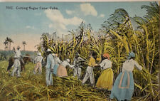 CUBA CUTTING SUGAR CANE 7002 PUBL BY HARRIS BROS - Postcard Tarjeta Postal picture
