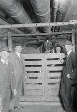 Man O' War Samuel Riddle's great thoroughbred now enrouite Win- 1920 Old Photo picture