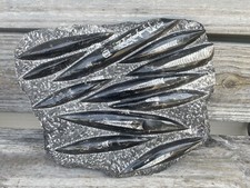Polished Orthoceras Fossil Black Stone Slab Beautiful ❤️❤️❤️ picture