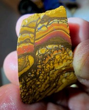 Australian Boulder opal Rough Rub Ready For Cabbing 64cts picture