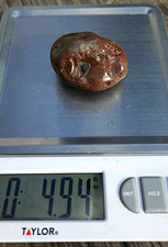 Lake Superior Agate Red Brown Banded Nodule  4.95 oz picture
