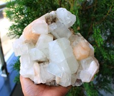 apophyllite crystals w/ stilbite on matrix minerals specimen #A15 picture