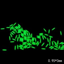 New 1PC 0.95X3 mm Night Life Self-Luminous 25 Years Life Green/Blue picture