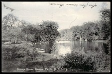 Bronx River Bronx Park NYC 1906 Rotograph Postcard Posted picture