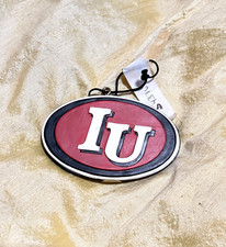 NICE University of Indiana resin 