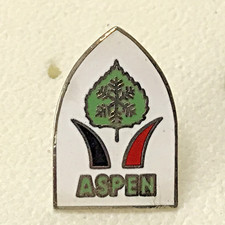 Vintage ASPEN Leaf  Ski Brooch Pin Badge COLORADO (SK2) picture