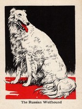 1940 Antique Borzoi Print Vintage Diana Thorne Russian Wolfhound Dog Art 6202a picture