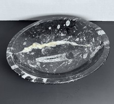 Large Orthoceras Fossil Bowl 10.5” Polished Stone 4.5 Lbs Nautiloid picture