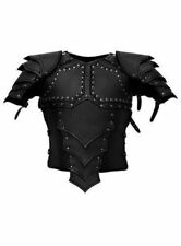 Leather Armour with shoulders - Dragon Rider The Drachenreiter Set consists picture