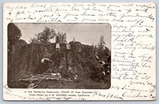 Eureka Antique California Postcard ARCATA Redwoods Giant Stump 1906 picture