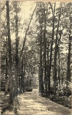 Grove Beach Conneticut Old Car Groveway Road Forest Vintage Photo Postcard c1910 picture