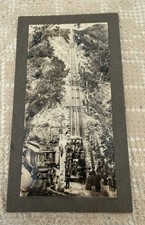 Vintage Funicular Operating in Mt. Lowe, California Late 1800’s-1936great Photo picture