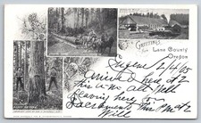 Greetings from Lane County Oregon Logging Sawmill Wendling Mills Fir Postcard picture